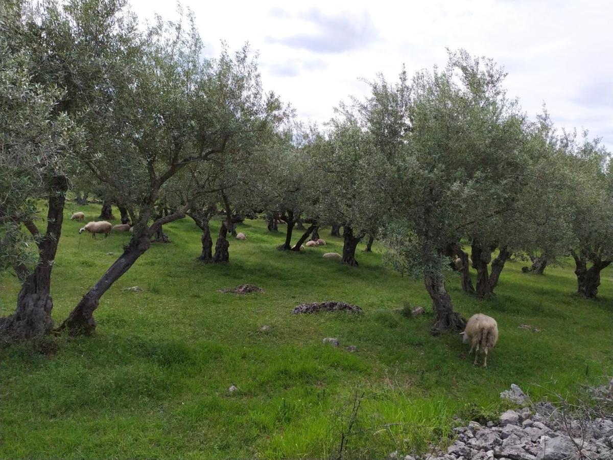 Prima Insula Glamping Hotel Brusici Exterior photo